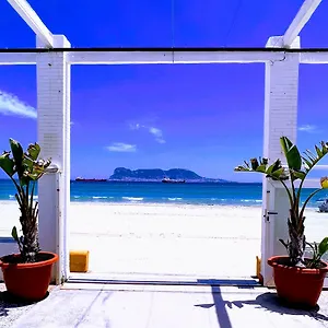 book here